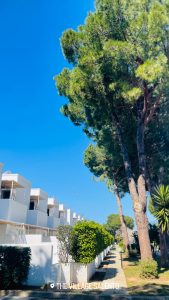 B0B93822-6BE0-4716-AFD9-0C550F4F6F19